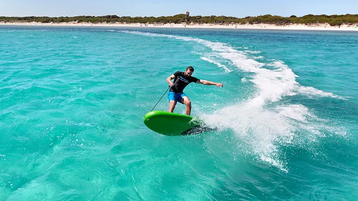 Lampuga