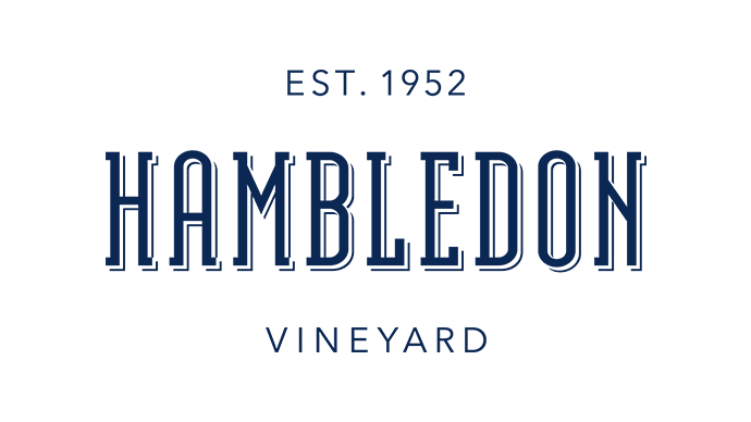 Hambledon Vineyard