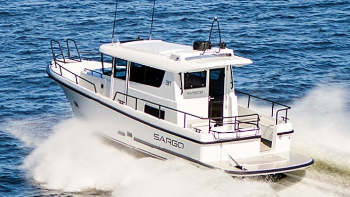 Sargo 31